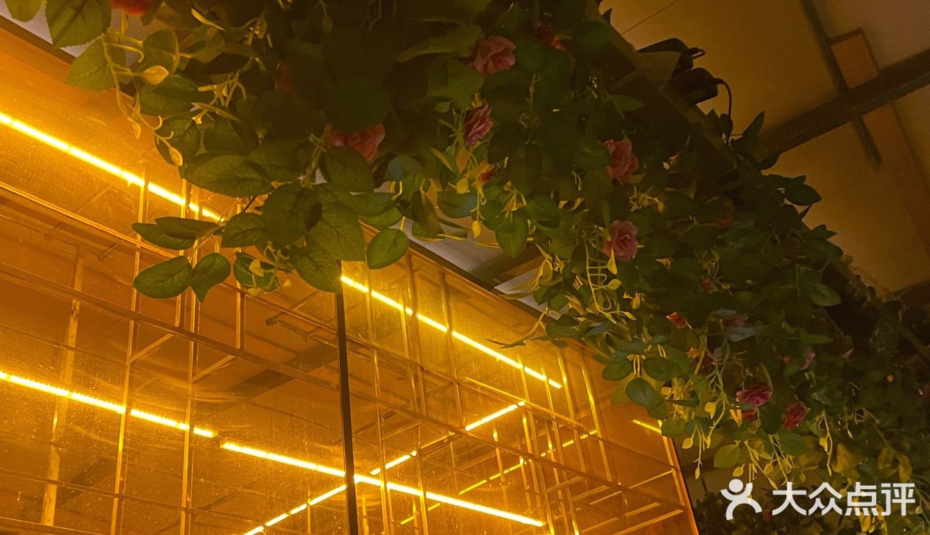 藏在CBD的空中花园~快来感受这份惬意与美好吧!