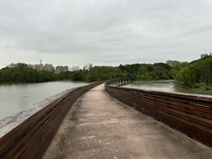 -昆山城市生态森林公园