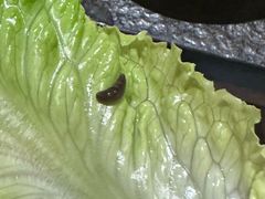 -煲宫猪肚鸡(昆山金鹰国际购物中心店)