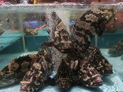 -阿伟海鲜楼·福建菜(延寿店)