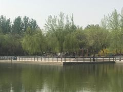 -大兴滨河森林公园