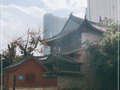 -真庆观