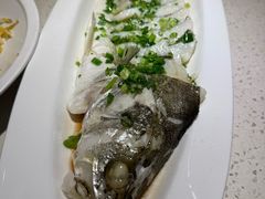 一卤鲜鲈鱼-船歌·鱼水饺青岛菜(金狮广场店)