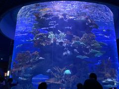 -多彩贵州城极地海洋世界