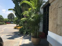 -厦门日月谷温泉渡假村