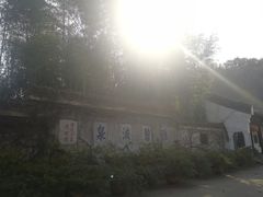 -镇江市南山风景名胜区竹林景区