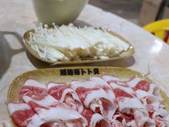 -顺德哥卜卜贝(旗舰店)