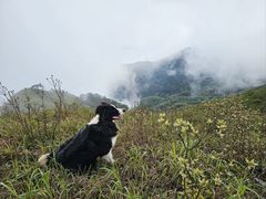-萍乡武功山风景名胜区
