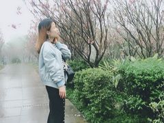 -南溪山景区