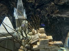 -太平洋海底世界