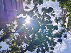 -沃尔玛超市(北大街店)