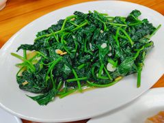 -乌文新澄海卤鹅店