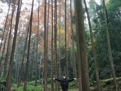 -凤栖山