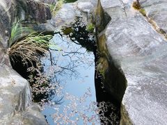 -梁野山景区