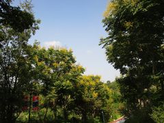 -五凤溪古镇