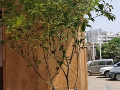 -那家面包房(珠江路店)