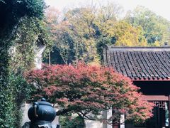 -虎跑公园