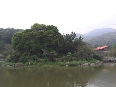 景点-广州市帽峰山景区