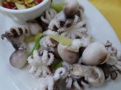 白灼八爪鱼-猪仔荣大排档(湾北路店)