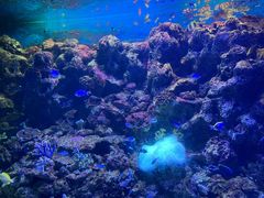 -大连老虎滩海洋公园