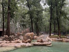 -北京野生动物园