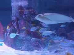 -沈阳海洋探索中心