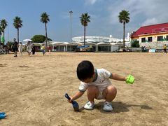 -碧海金沙