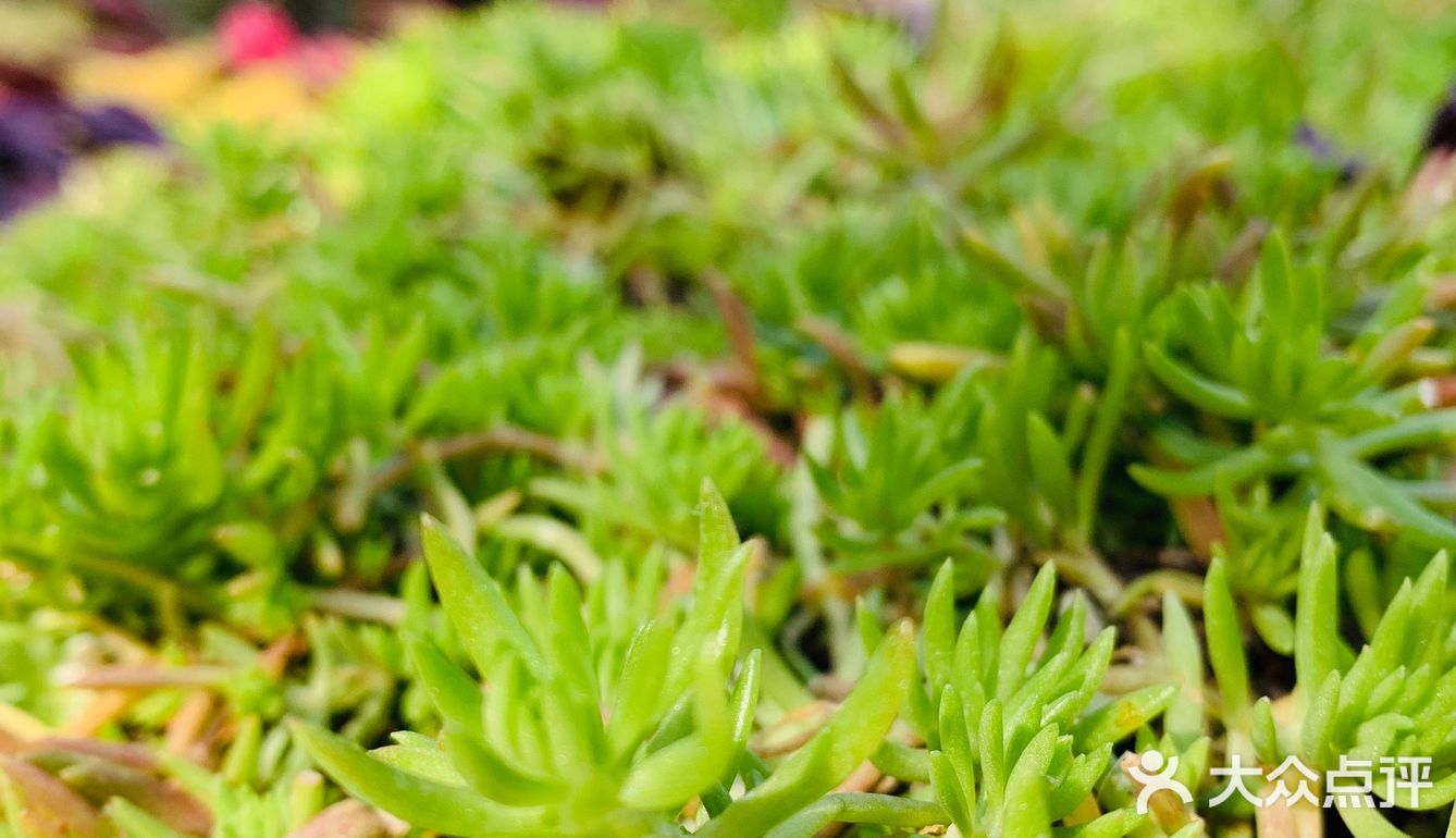 天很蓝，云很白，水很清，你很棒！