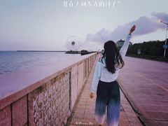 -奉贤海滩