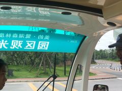 -美的鹭湖探索王国