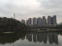 -重庆彩云湖湿地公园
