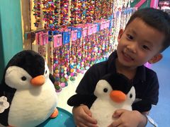 -多彩贵州城极地海洋世界