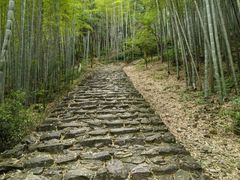 -仙霞关景区