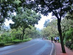 景点-南国桃园旅游度假区