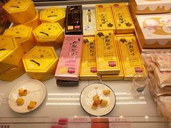 -蒲公英(五里店)