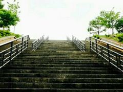 -中央民族大学