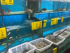 -崖口红树林海鲜餐厅