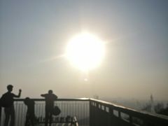-紫金山山顶公园