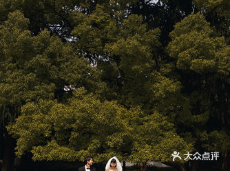 自带仙气的森系婚纱照，是满分的仙女风夏枝繁茂时
