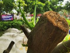 -荔湾区儿童公园