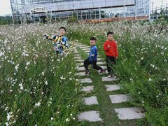 -中国天府农业博览园