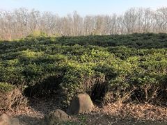 -南京市江宁方山