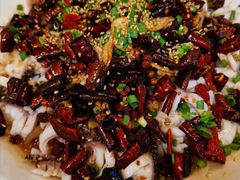 黑鱼花-三猫黑鱼花(南大店)
