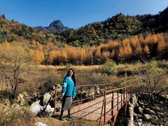 -秦岭风景区