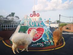 -Blue Concept Cafe&Farm·關於藍