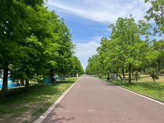 -苏州东太湖生态园