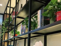 -三猫黑鱼花(南大店)