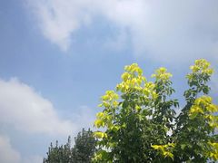 -花园口旅游区