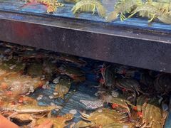 -小厨师·二十年沈家门小海鲜(百井坊巷店)