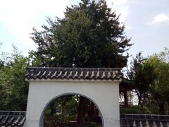 -观唐（国际）度假村温泉
